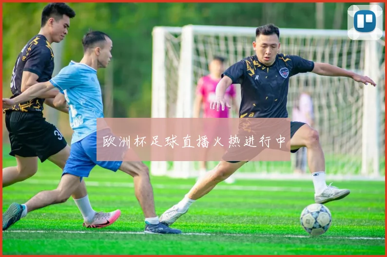 欧洲杯足球直播火热进行中