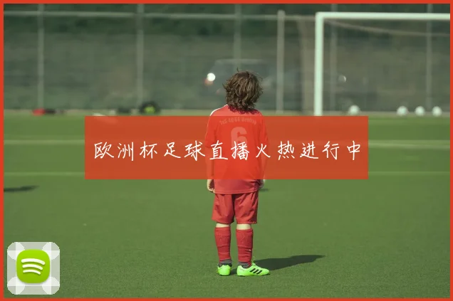 欧洲杯足球直播火热进行中