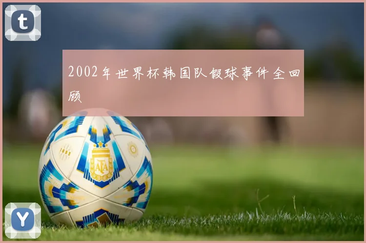 2002年世界杯韩国队假球事件全回顾