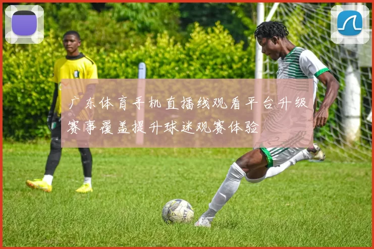 广东体育手机直播线观看平台升级赛事覆盖提升球迷观赛体验
