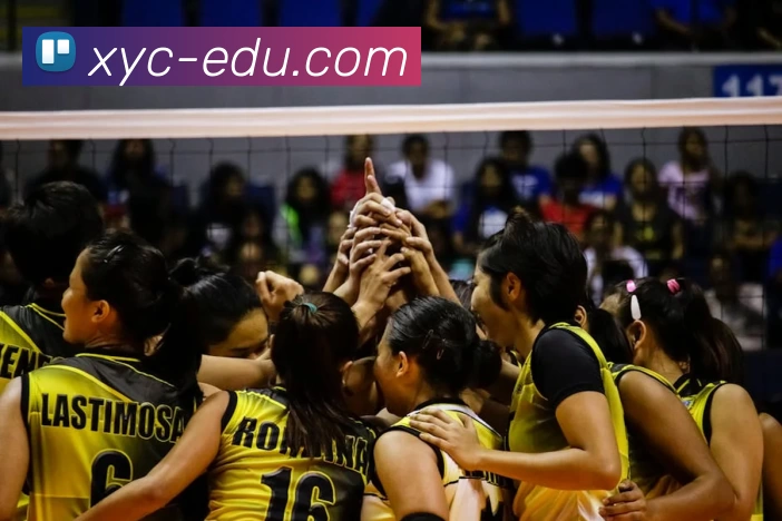 App Interface Preview