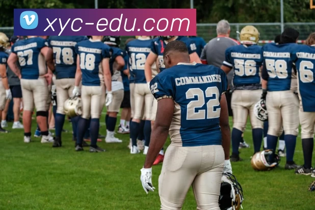 qy球友会网页·最新(中国)官方网站APP 封面图